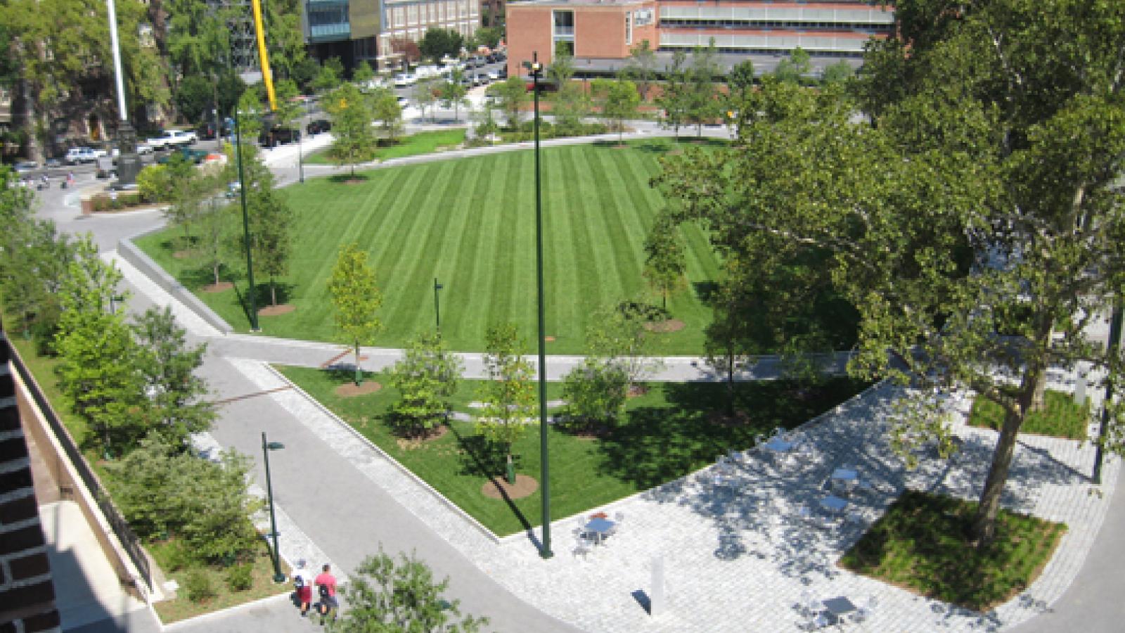 View from Education Commons