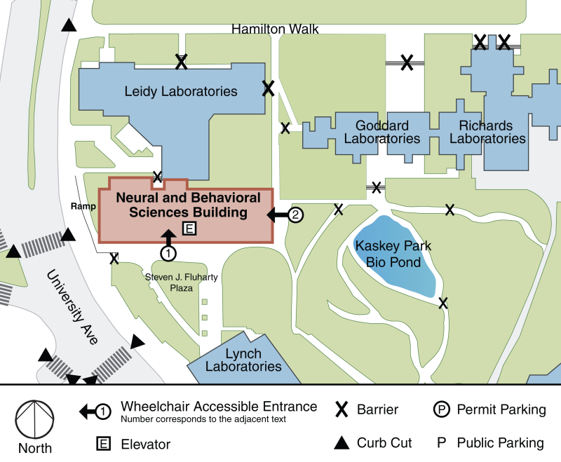 Graphic Map showing the accessible entrances to the Neural and Behavioral Sciences Building on the south and east sides of the building. The map includes graphics of adjacent buildings, paths, etc. directly surrounding the building. 