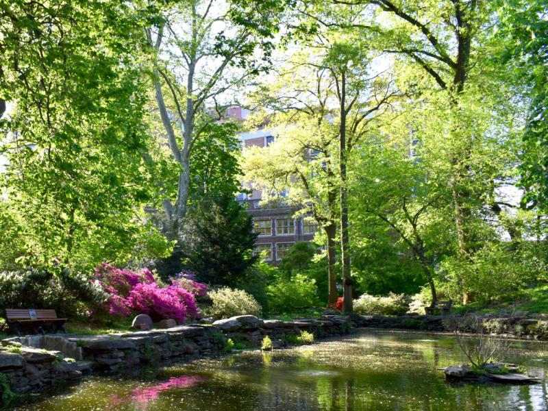 kaskey park pond view