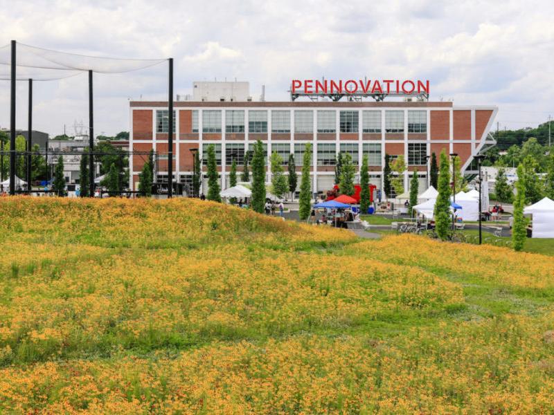 Facade of Pennovation Center seen across meadow filled with yellow flowers 