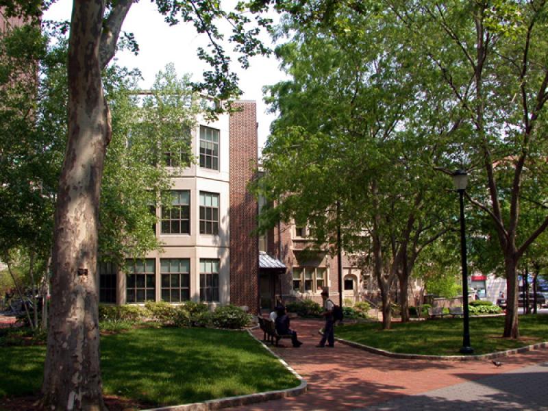 Jaffe History of Art Building through the trees