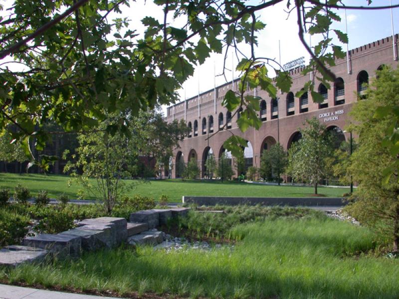 View of lawn in front of the building