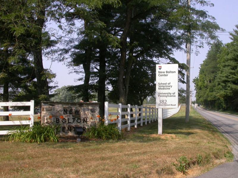 New Bolton Center School of Veterinary Medicine signage