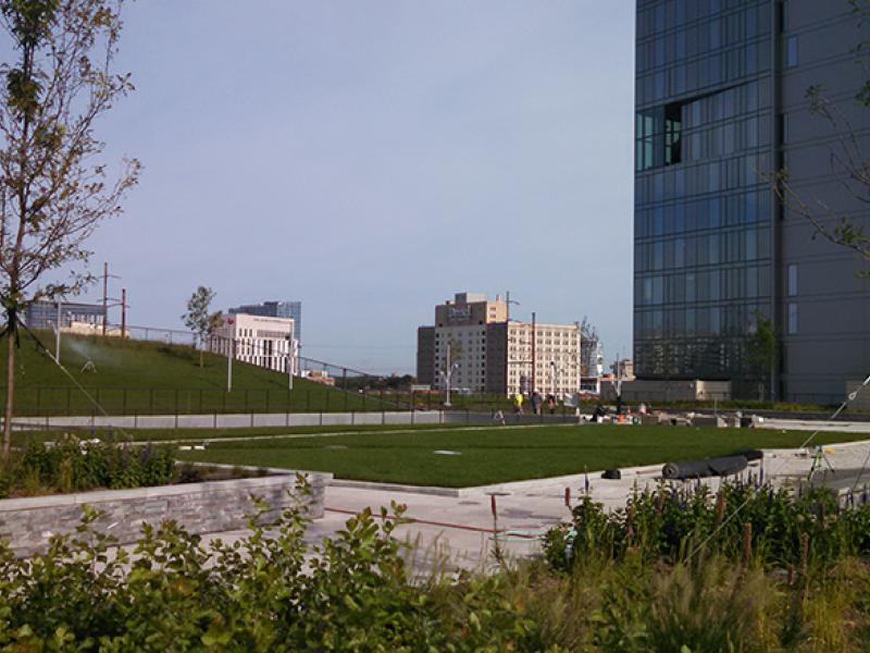 Cira Green