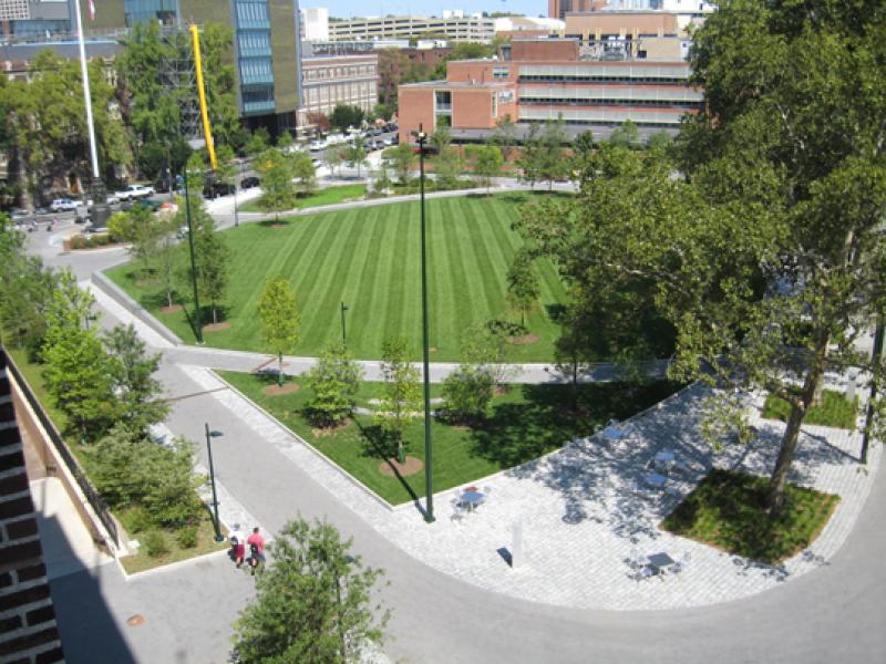 View from Education Commons