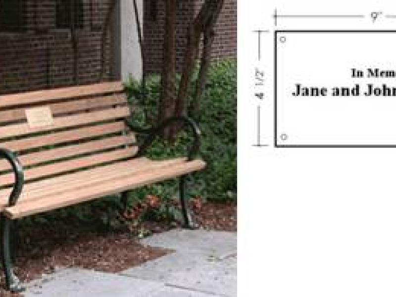 University bench in memory of
