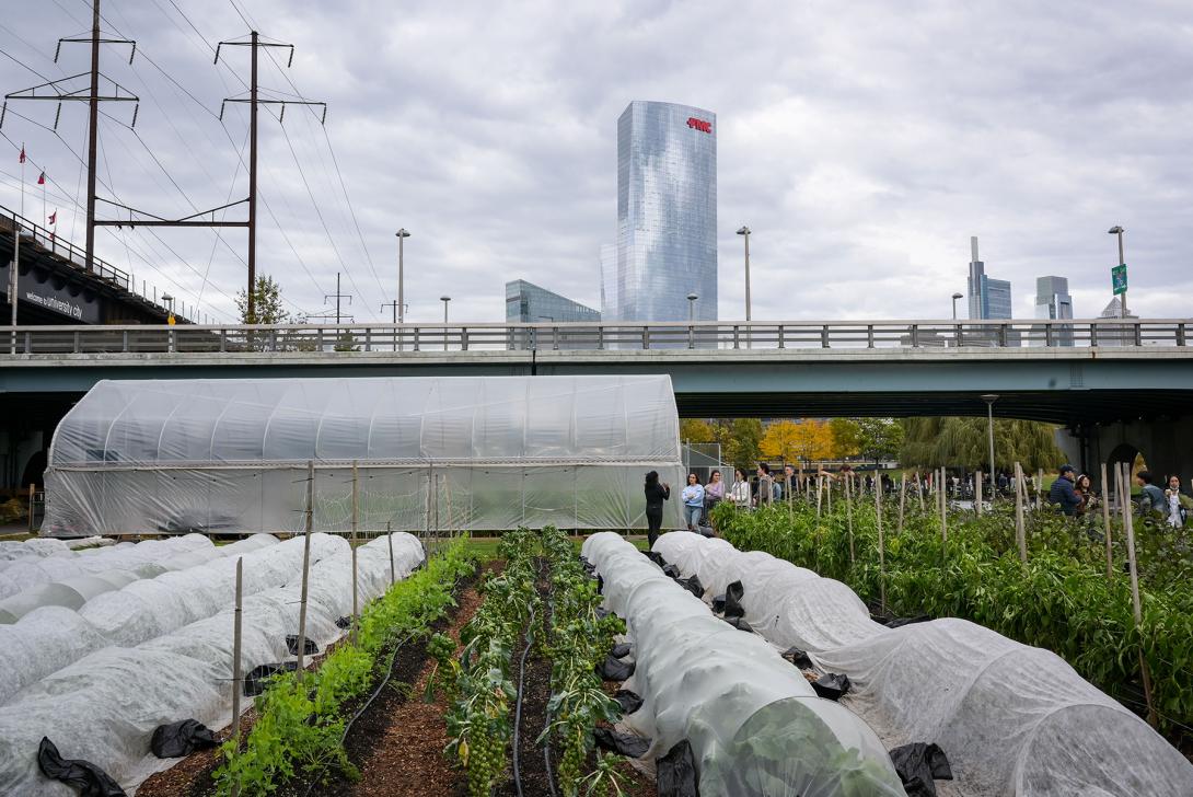 Progress in Climate and Sustainability Action Plan 3.0 FY22