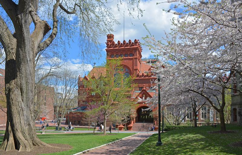 view of college green with blooming spring trees