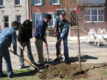 Landscapers Planting Trees on Campus