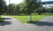 Picnic Grove in Penn Park