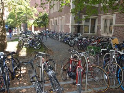 Johnson Pavilion bike rack