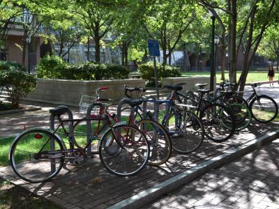 Lauder Institute bike rack