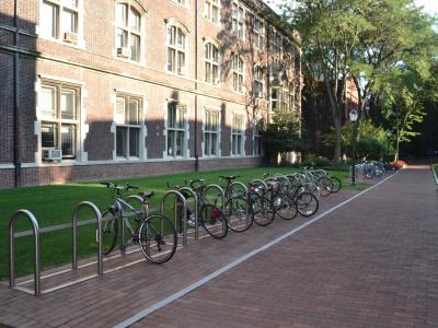 Towne bike rack