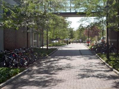 Vet School Hill bike rack