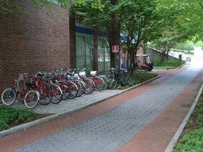 Williams East bike rack