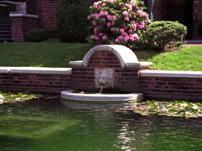 Lion's Head Fountain located near a flowering bush