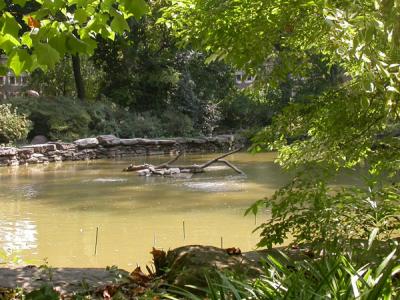 A pond in Kaskey Park