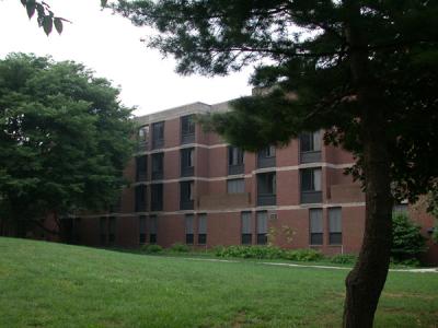 Van Pelt Manor with a tree in the foreground