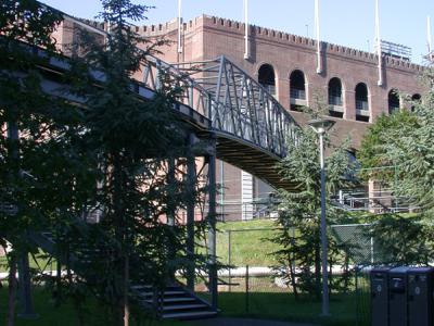 Goldie Paley Memorial Bridge East seen from below