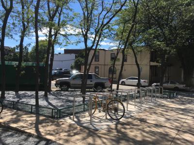 Levy Center for Oral Health bike rack